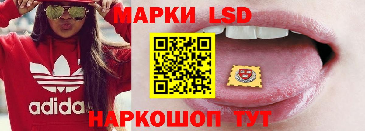 ЛСД экстази кислота  блэк спрут ССЫЛКА  Гудермес  Лсд 25 экстази кислота  Вход с VPN 