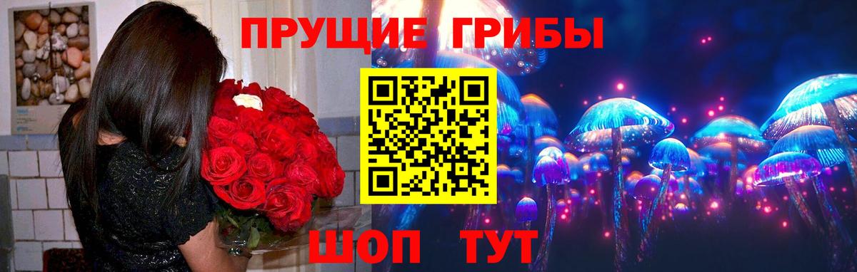 даркнет сайт  Псилоцибиновые грибы мицелий  Вход с VPN  Гудермес 